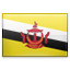 shiny Brunei icon